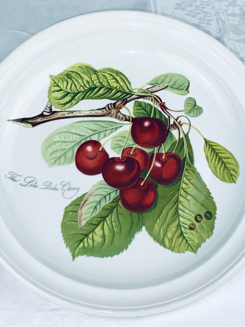Portmeirion Pomona Late Duke Cherry Pattern Dinner Plate 10.5”wide